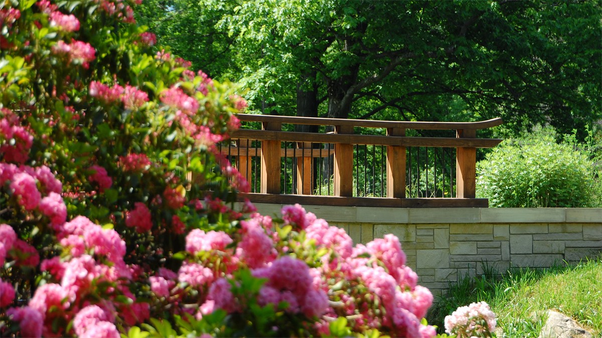 Holden Arboretum TCLF